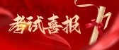 模板缩略图