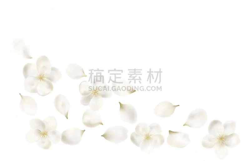 花瓣 花朵 春天 白色 樱桃 花 树 落下 飞 爱图片素材下载 稿定素材