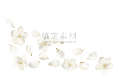 花瓣,花朵,春天,白色,樱桃,花,树,落下,飞,爱