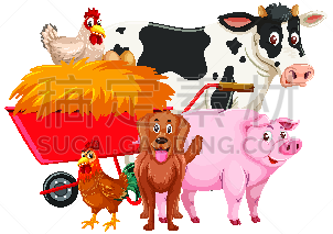 牲畜,白色背景,干草,可爱的,活力,宠物,图像,生活方式,狗,艺术