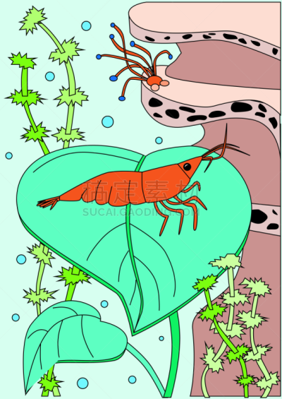 动物,垂直画幅,轮廓,海洋,自然,矢量,绘画插图,海报,水下