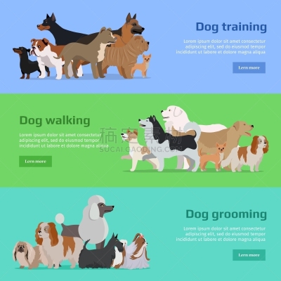 狗,理毛行为,分离着色,纯种犬,多样,图像,训练,步行,收集,排列