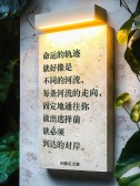 模板缩略图