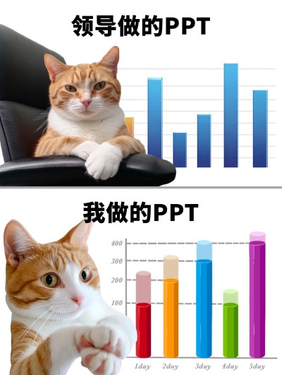 教育吸睛表情包对比梗图小红书封面