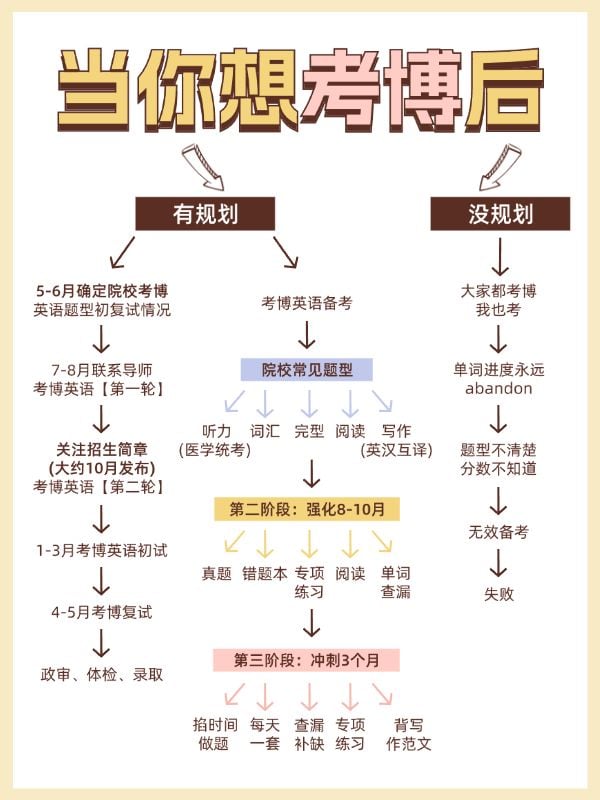 教育考博科普攻略决策树小红书配图