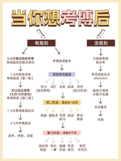 教育考博科普攻略决策树小红书配图预览效果