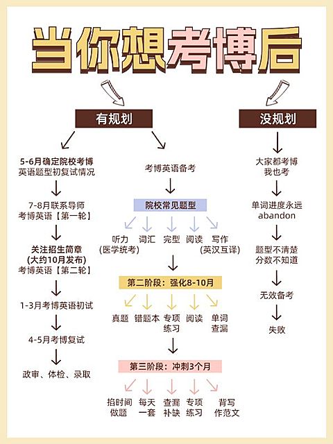 教育考博科普攻略决策树小红书配图