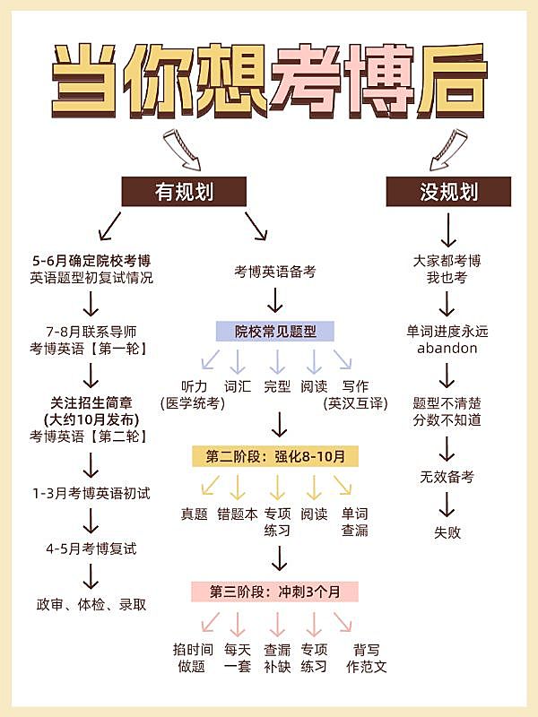 教育考博科普攻略决策树小红书配图