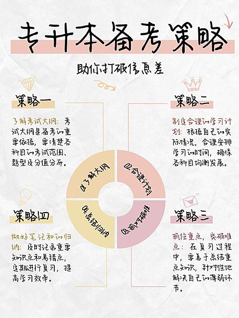 教育专升本环形图知识科普小红书配图
