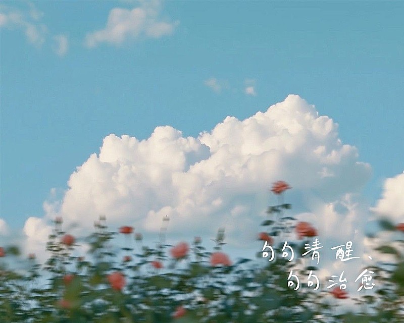 情感小红书博主主页唯美感实景小红书背景图aigc