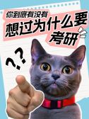 模板缩略图