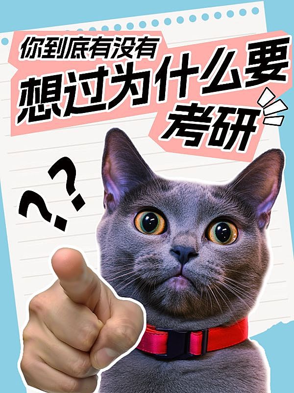 教育吸睛梗图猫咪表情包小红书封面aigc