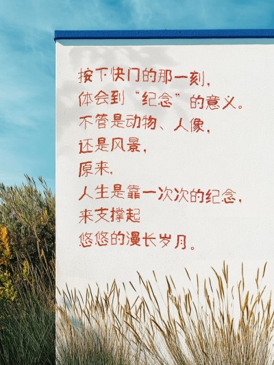 情感文案语录文艺感小红书封面