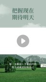 模板缩略图