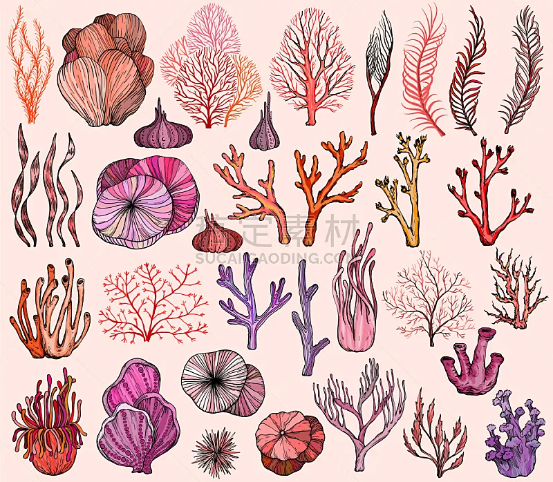 珊瑚 海洋 动物手 野生动物 植物群 生物 动物 海绵 绘制 布置图片素材下载 稿定素材