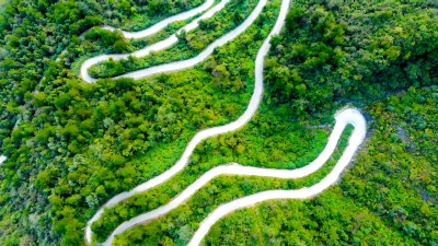 森林中的空中弯道