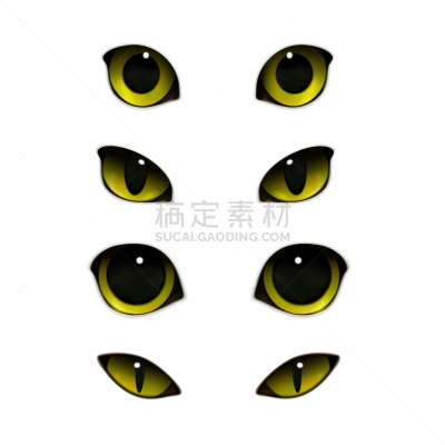 反光道钉,宠物,秘密,怪异,野生动物,猫,猪嘴,动物,写实