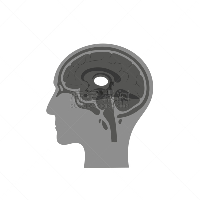 丘脑,绘画插图,矢量,生物学,有序,健康保健,侧面,半球体,背景分离,灰色