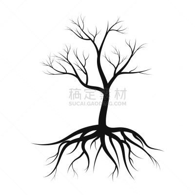 绘画插图,叶子,根部,矢量,白色背景,生物学,农业,地下的,一个物体,背景分离