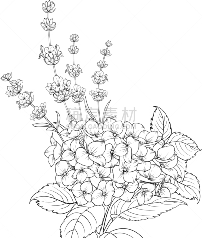 熏衣草,八仙花属,分离着色,花卉花环,请柬,事件,灰色,植物群,问候,爱