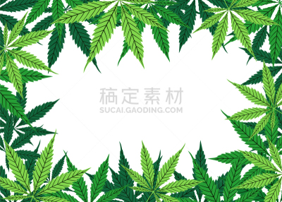 占贾,顶部,看风景,白色背景,动物手