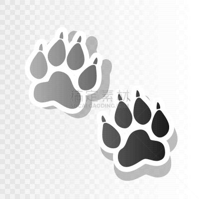 标志,动物留下的痕迹,图标,可爱的,脚印,脉搏图,猎豹,狮子,动物,美洲豹