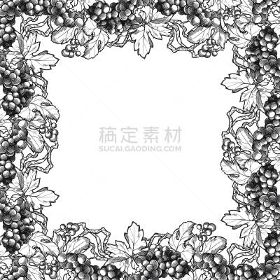 边框,葡萄,长方形,叶子,华丽的,一个物体,背景分离,食品,浆果,复古风格