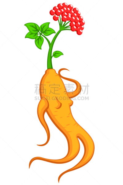 女人,小雕像,白色,叶子,绿色,ginseng,性格,苗条,健康保健,背景分离