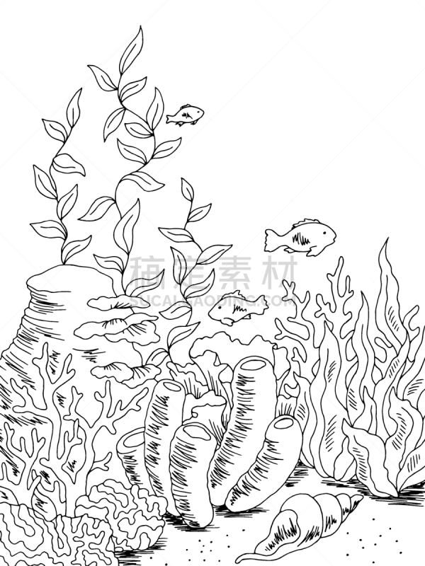 矢量,水下,白色,绘画插图,草图,海洋,垂直画幅,黑色,插画,深的