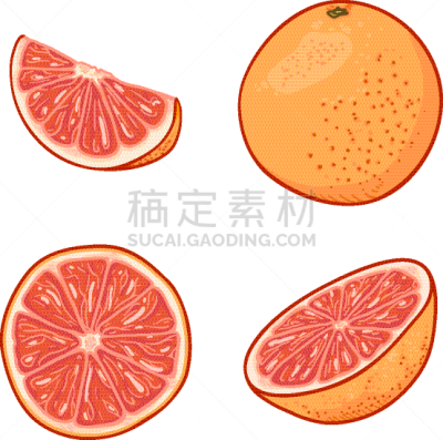 set cartoon grapefruits