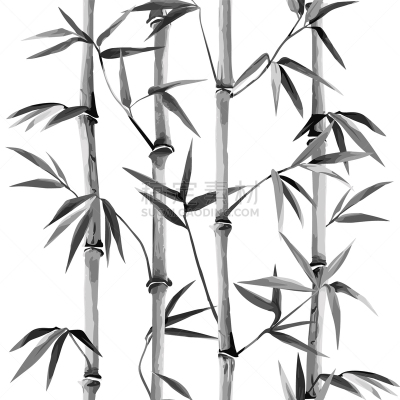 白色,垂直画幅,竹,国境线,壁纸,植物群,人种,装饰物,植物