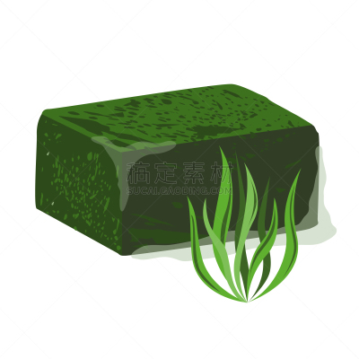 螺旋菌,块状,冻结的,生物学,素食,清新,食品,环境,营养品,枝繁叶茂