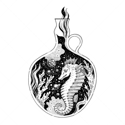 时尚,t恤,海马,矢量,式样,波西米亚风,珊瑚,白色背景,分离着色