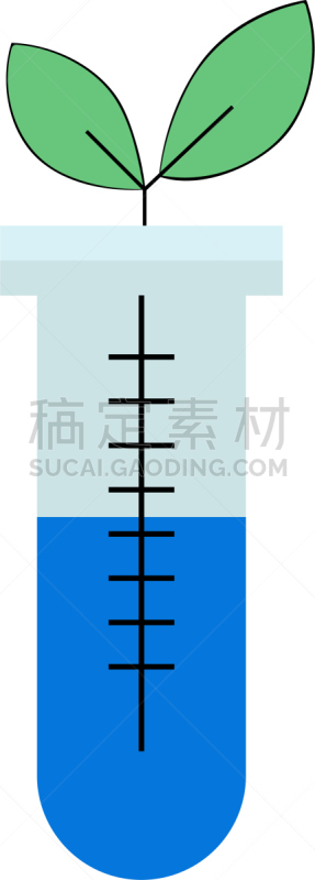 植物,量筒,分离着色,白色,条纹,圆柱体,图像,自然美,叶子,装饰