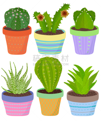 仙人掌,可爱的,芦荟,绘画插图,式样,矢量,白色,天气,分离着色,自然美