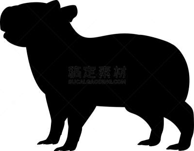 水豚,幼小动物,小的,可爱的,食草动物,家庭,野生动物,模板,哺乳纲,剪影