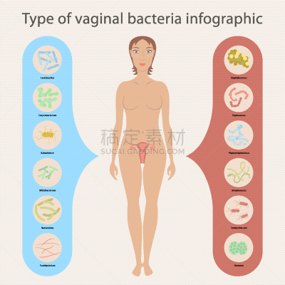 妇科专家,细菌,分离着色,肠杆菌,肠内的,健康保健,人,图像,女人