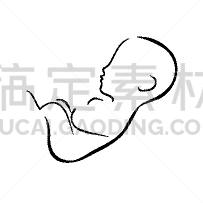 动物胎儿,胎盘,室内,附着的,生物学,健康保健,人,分娩