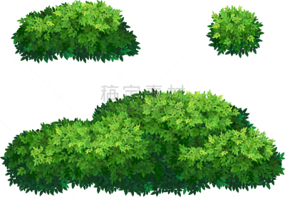 绿色,灌木,王冠,地形,户外,季节,夏天,春天,形状,树