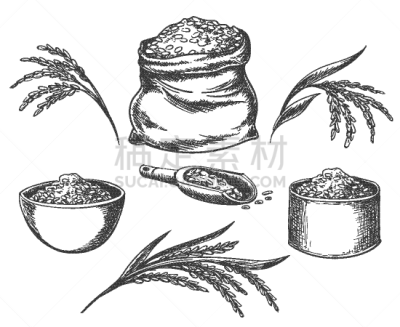 白色,分离着色,谷类食品,稻,素食,食品,熟的,尖的,喂养,复古