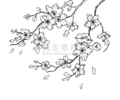 花朵,墨水,樱之花,线条,华丽的,纺织品,樱桃,花,布置