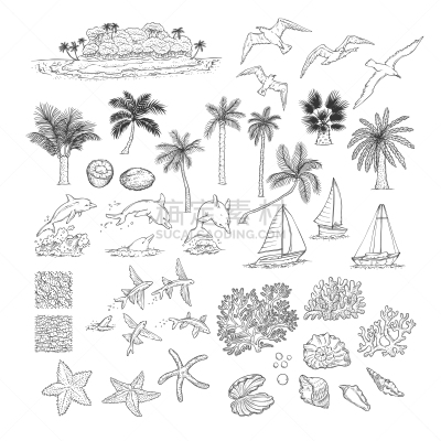 夏天,水,热带灌木,旅途,帆,游艇,植物群,海豚,船,复古