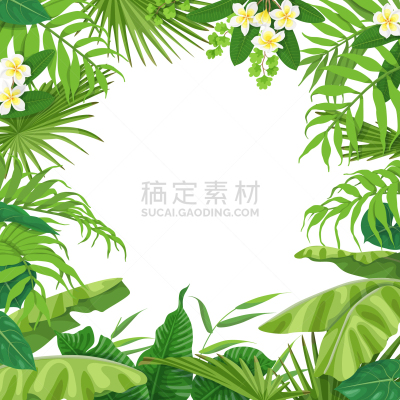 夏天,背景,热带灌木,复叶,清新,环境,植物群,装饰物,植物,花