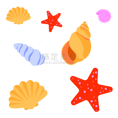 贝壳,海星,白色背景,星形,自然,背景分离,乌克兰,热带气候,图像,海洋