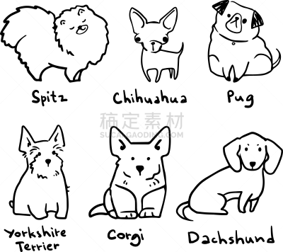 可爱的,狗,小的,草图,矢量,线条画,数字6,纯种犬,梗犬,背景分离
