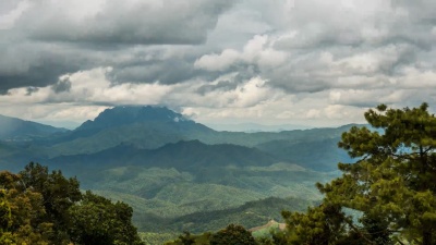 高山森林中的雨，泰国清迈DOI Luang Chiang Dao