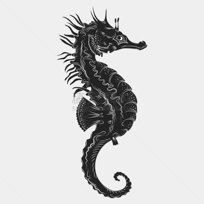 海马,插画,动物手,白色,创造力,自然,华丽的,缠结的,摆拍,绘制