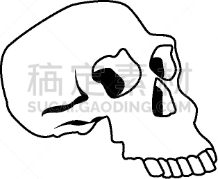 人,动物骨,生理学,头骨,计算机图标,分离着色,矢量,男人,人属