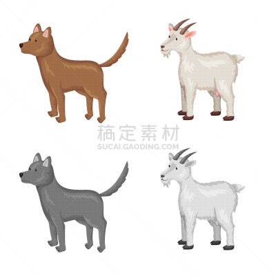 厨房,图标,可爱的,农业,纯种犬,食品,狗,山羊,动物