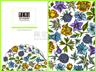 菜单,天竺葵,草地,火绒草,风铃草属,花纹,传统,球体,石生风铃草,健康保健